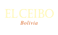 LOGOTIPO EN CAPAS